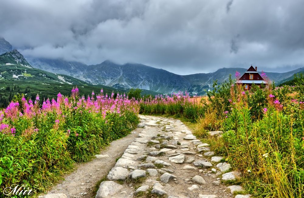 Mountain trail