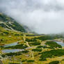 Valley in the fog