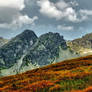 Mountains - Summer - Tatry