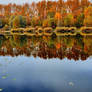 Autumn in the mirror