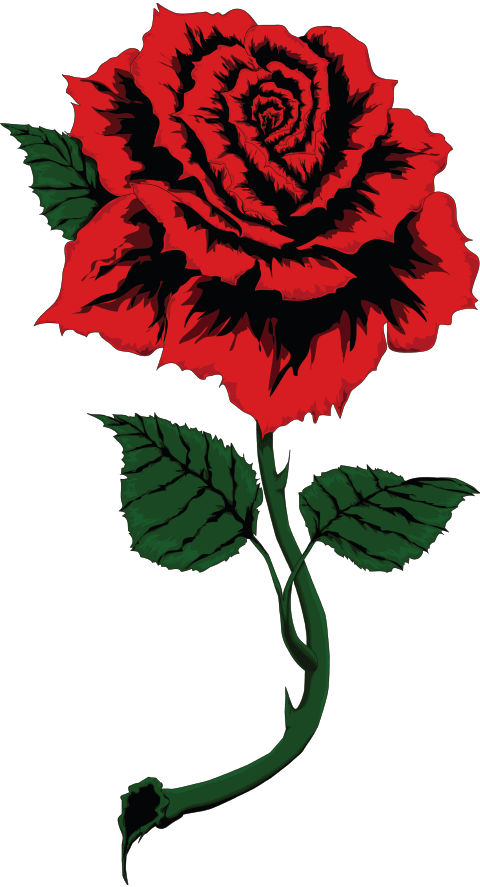 vector rose by ROSES87 on DeviantArt