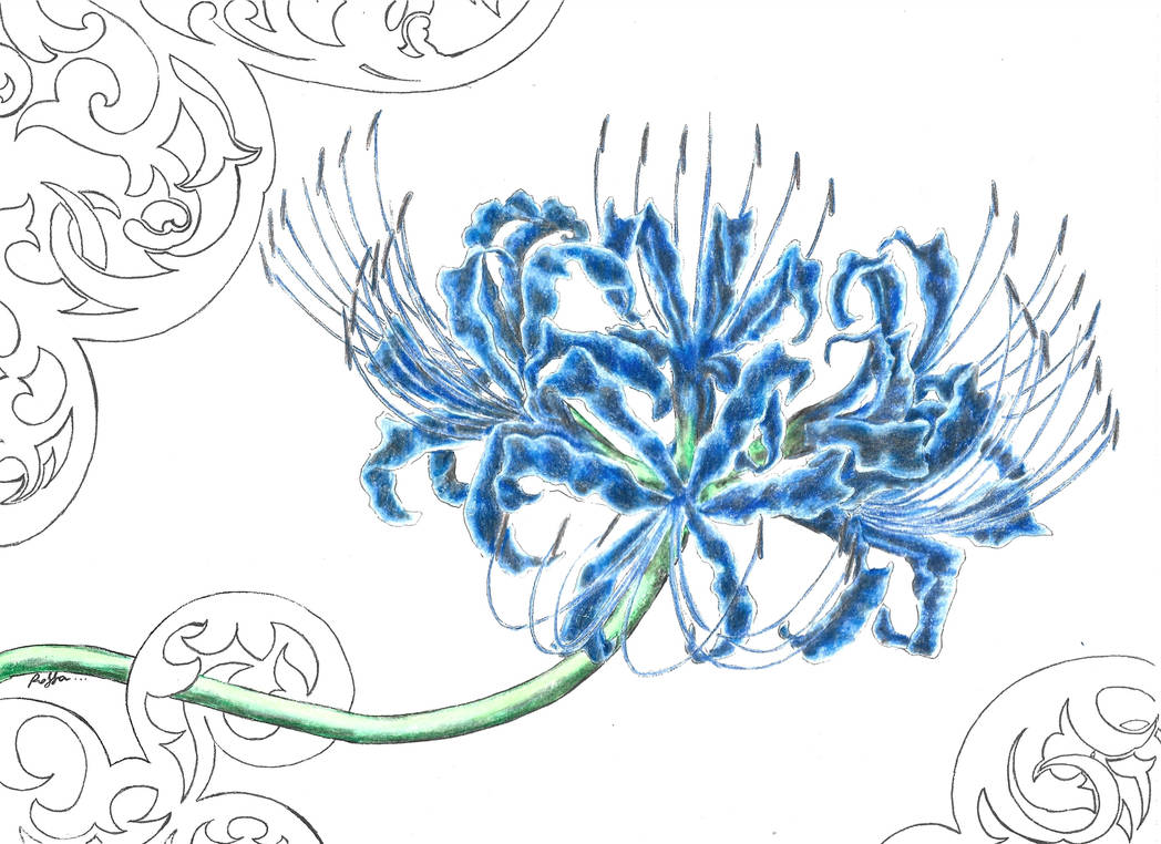 Lycoris Radiata 03 by ROSES87 on DeviantArt