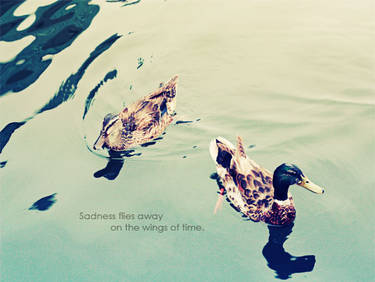 . sadness flies away_