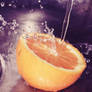 .: citrus splash :...