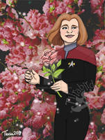 Do Things the Janeway