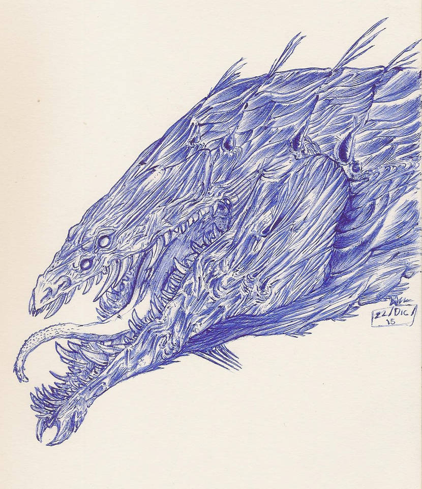 1 Sketchbook- An Unknown Creature