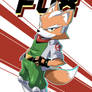 Fox McCloud Poster