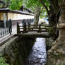 Mt. Koya