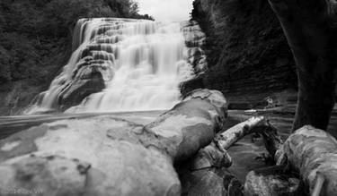 From the Middle of the Falls