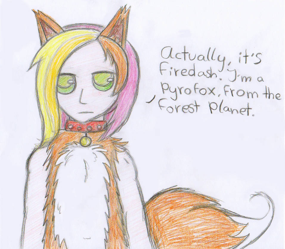 Pyrofox Firedash the pyrofox by TheAmberDragon999 on DeviantArt