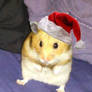 Chibi in a Santa hat lol so cute