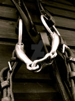 French Loose-Ring Snaffle