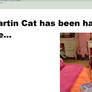 Question 6 Martin Cat