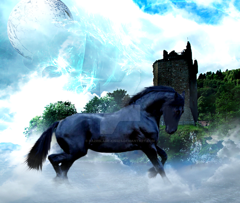 friesian at castle