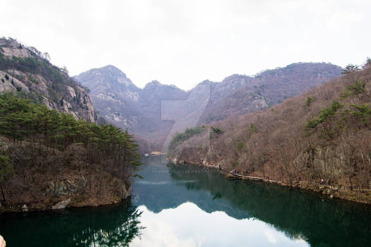 Overlooking the river