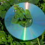 disk 003