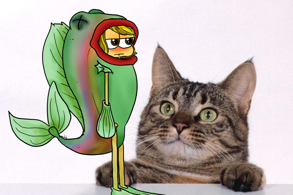 Catfish by CartoonLife6 on DeviantArt