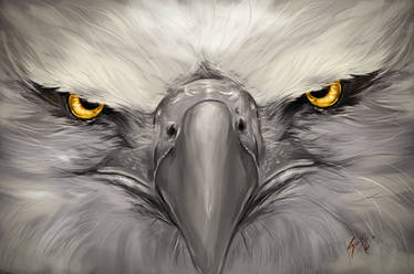 The Anger of the Eagle