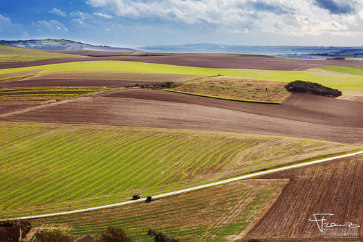 Fields of Normandy