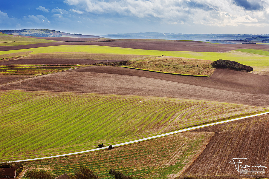 Fields of Normandy