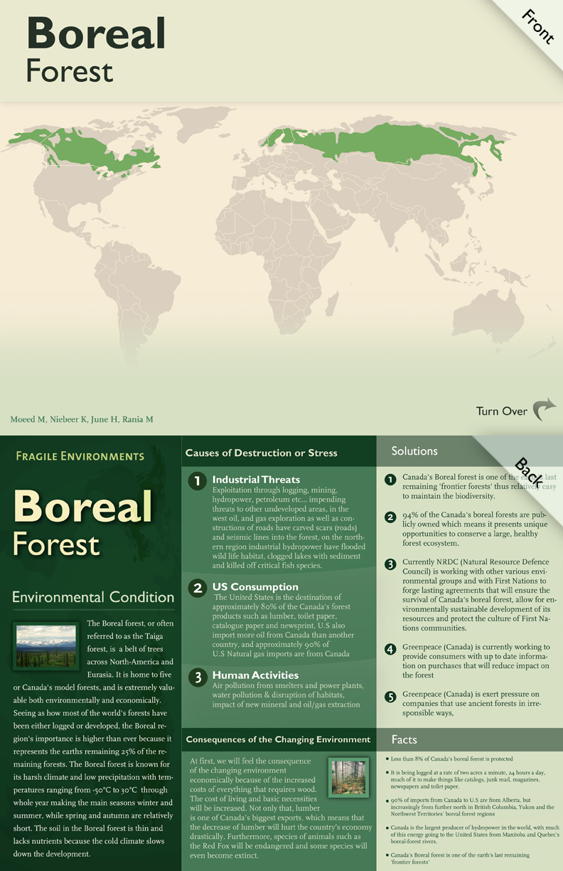 Boreal Forest