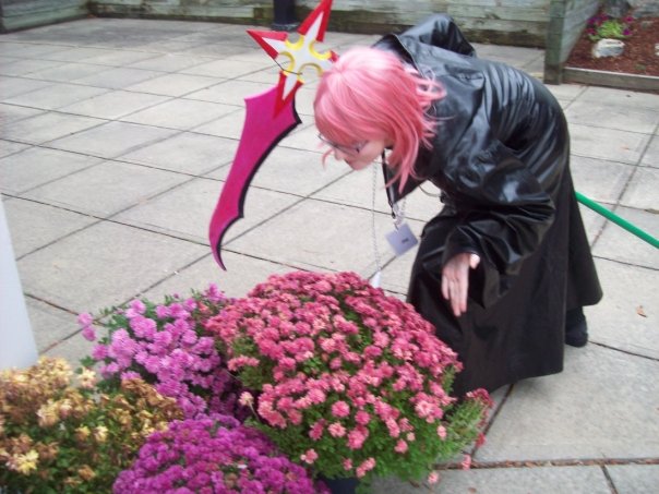 Marluxia Loves Flowers