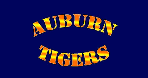 Auburn Tigers tee shirt