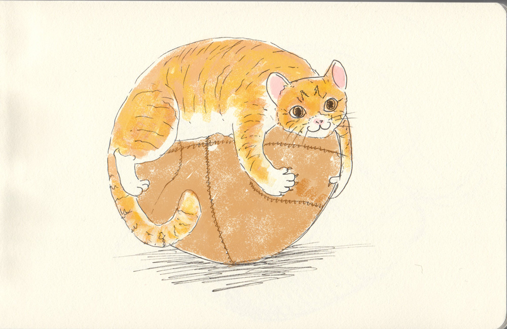 Basketball Cat