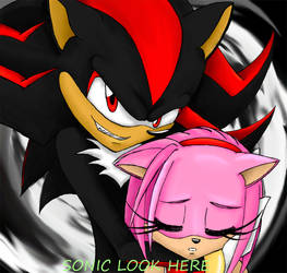 Look Here Sonic