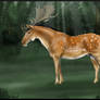 Fallow Deer Equilope