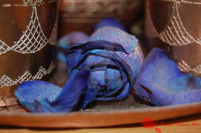 Bleeding Blue Roses A blue bleeding rose by ASadistGhoulsArt on DeviantArt