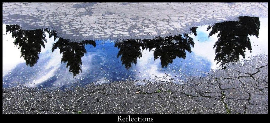 Perception