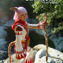 FINAL FANTASY XI