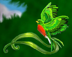 Resplendent Quetzal