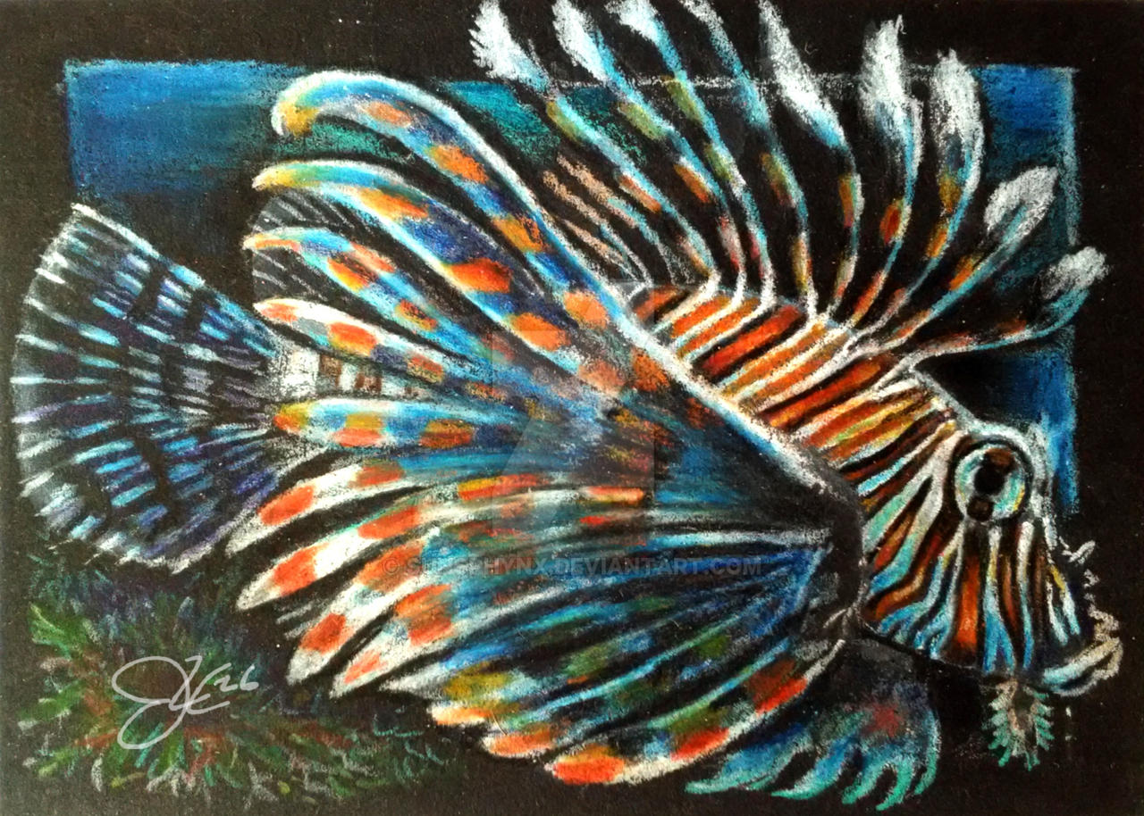 AC 003 Common Lionfish