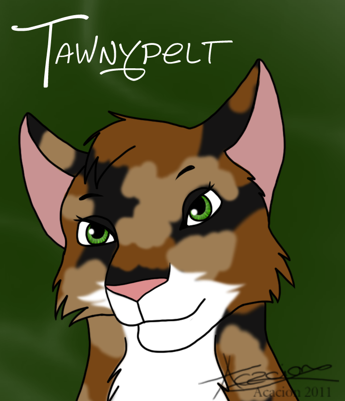 Tawnypelt