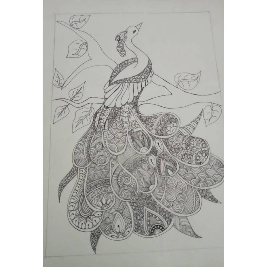 Peacock pencil sketch by Artroham on DeviantArt