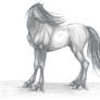 Horse sketch