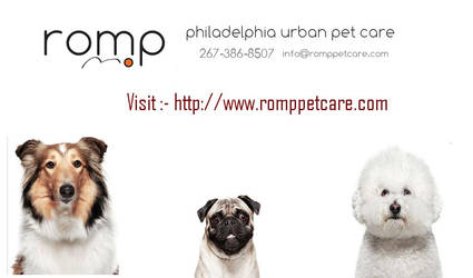 Philadelphia Pet Sitters - www.romppetcare.com