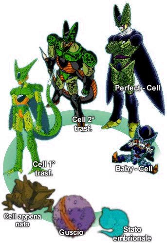 formas de cell by garicochea on DeviantArt