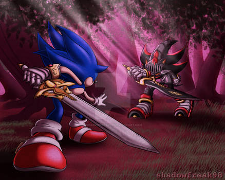 Pin by SONADOW1998 on LANSONI  Sonic and shadow, Sonic heroes