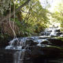 Leura cascades