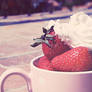 Have a cup of strawberries