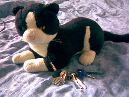 Cat plushie: Rontti