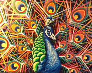 Peacock1