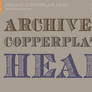 Archive Copperplate Head