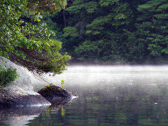 mist on Wilson Pond