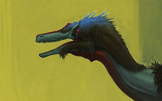 Austroraptor_Profile_1