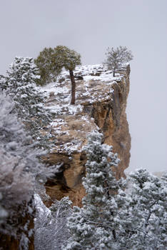 Snowy Grand Canyon