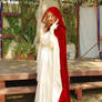 Medieval Gown and Cloak